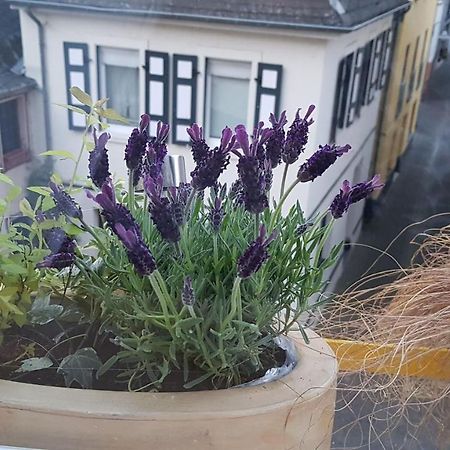 Haus Alfinaヴィラ エクステリア 写真