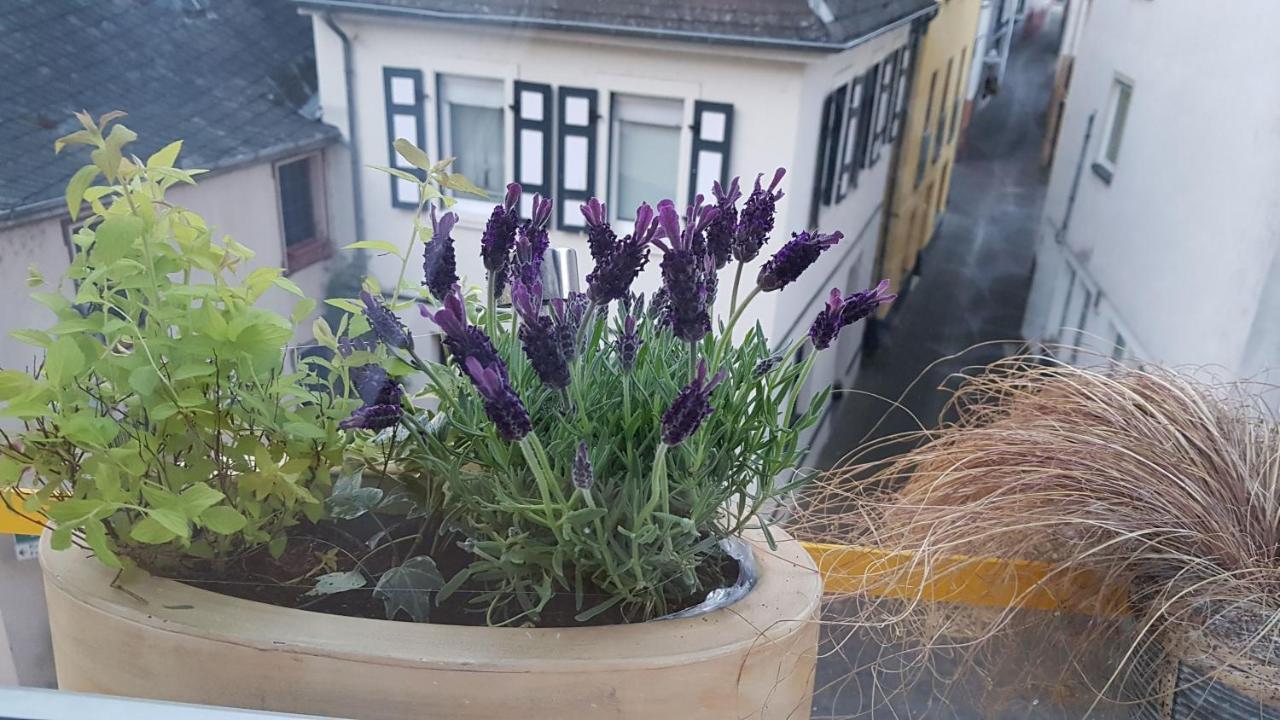 Haus Alfinaヴィラ エクステリア 写真